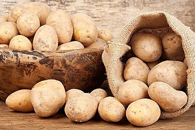 Xbox八月金会员会免游戏公布 包含《灾厄逆刃》等